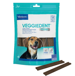 VEGGIEDENT